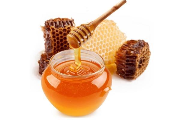 تراشه های کامپیوتری آینده از عسل ساخته می شوند!