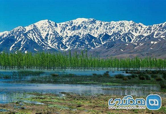 ضرغامی خواهان فعال شدن گردشگری کشاورزی تالاب گندمان شد