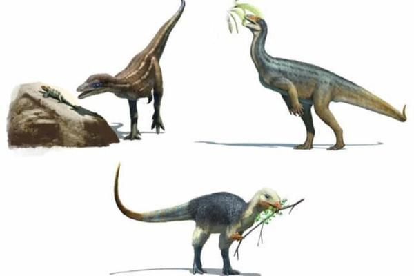 کشف محققان درباره غذای مورد علاقه دایناسور ها